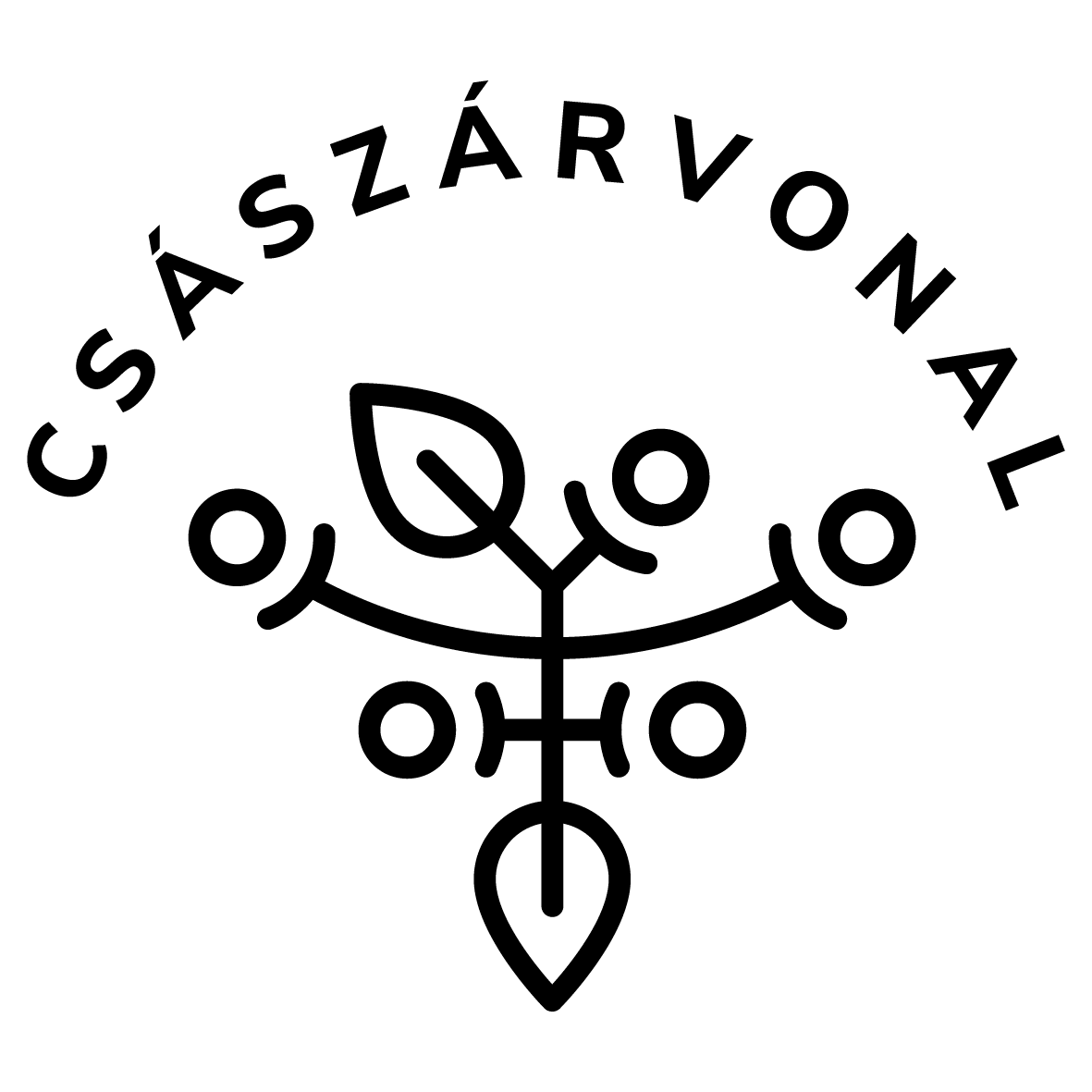 csаszаrvonal_logo
